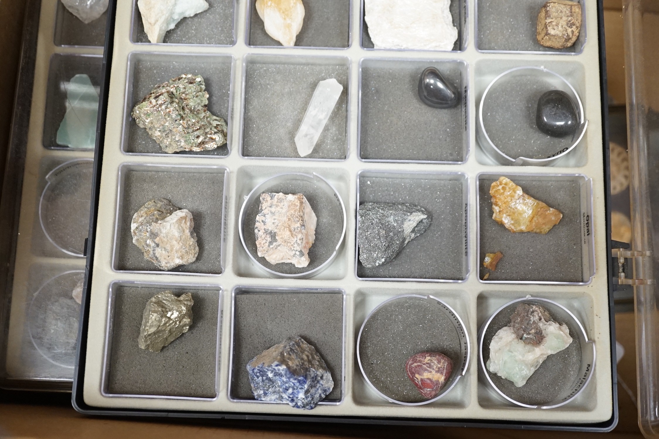 A group of assorted mineral and fossil specimens